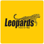 Leopards